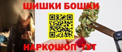 СК Боровичи