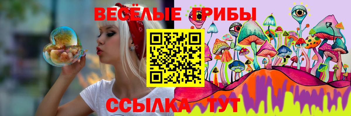 Псилоцибиновые грибы Psilocybe  Галлюциногенные грибы Psilocybine cubensis  Вход с VPN  дарнет шоп  Вятские Поляны 