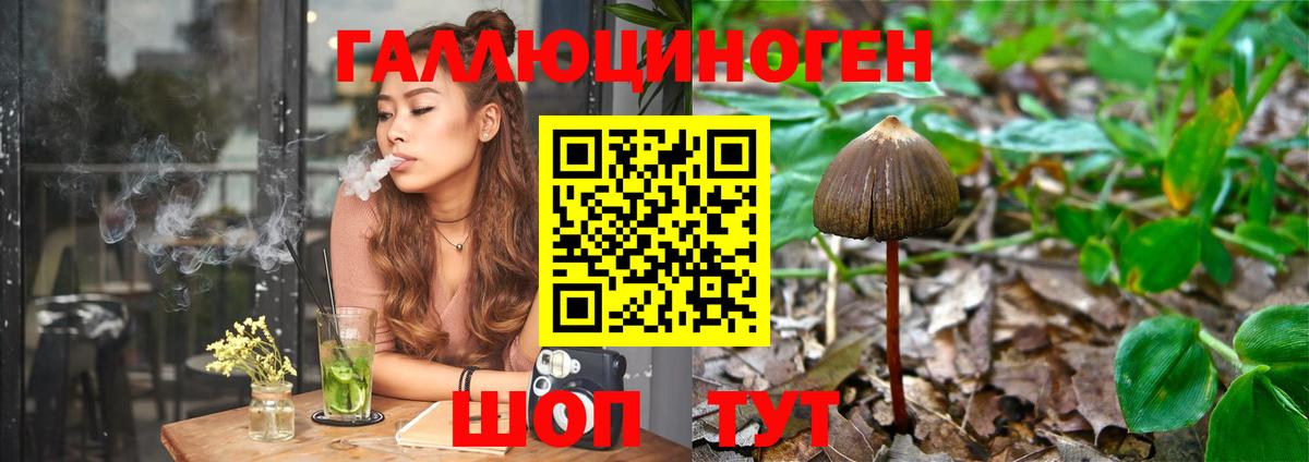 Псилоцибиновые грибы Cubensis Вятские Поляны